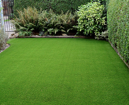 Artificial Grass 2 U Gallery_0000_shutterstock_785843725 Gallery