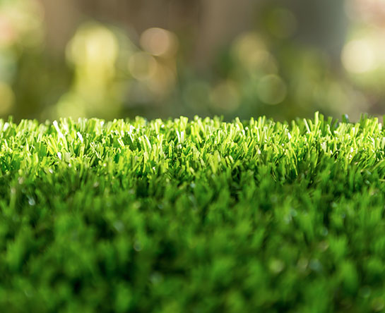 Artificial Grass 2 U Gallery_0001_shutterstock_1030005796 Gallery
