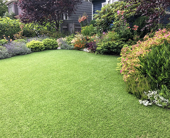 Artificial Grass 2 U Gallery_0003_shutterstock_1778798240 Gallery