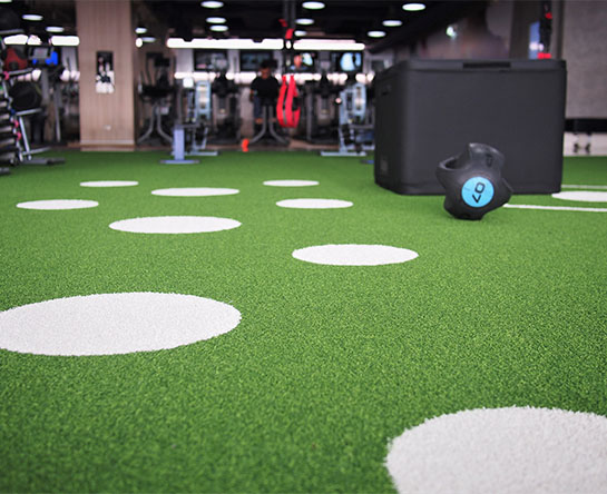 Artificial Grass 2 U Gallery_0004_shutterstock_1750679270 Gallery