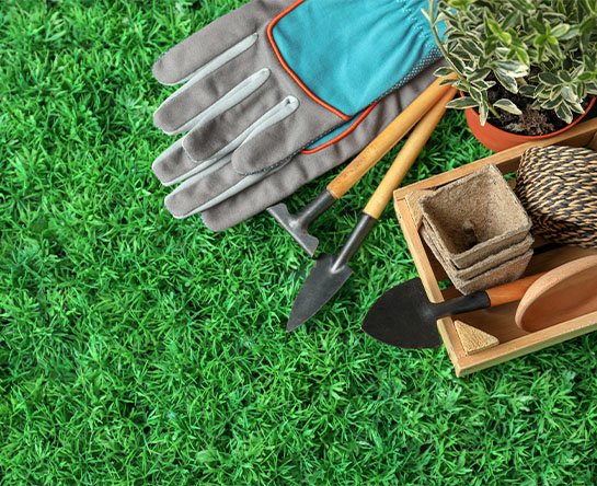 Artificial Grass 2 U Gallery_0006_shutterstock_1108559072 Gallery