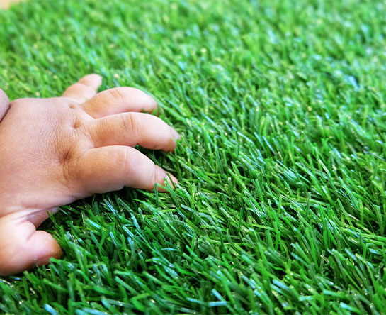 Artificial Grass 2 U Gallery_0007_shutterstock_1096060367 Gallery