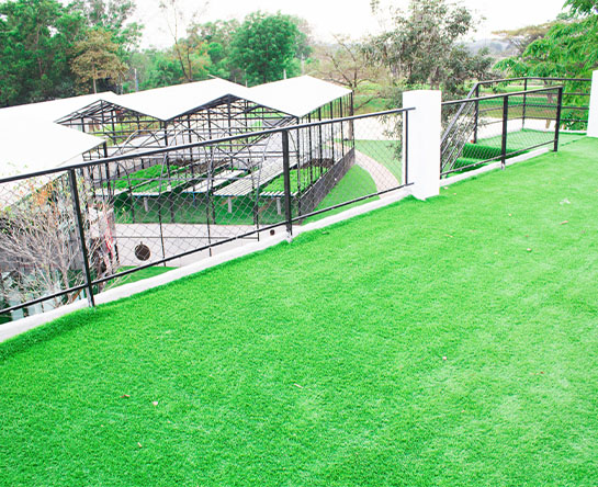 Artificial Grass 2 U Gallery_0008_shutterstock_1048965803 Gallery